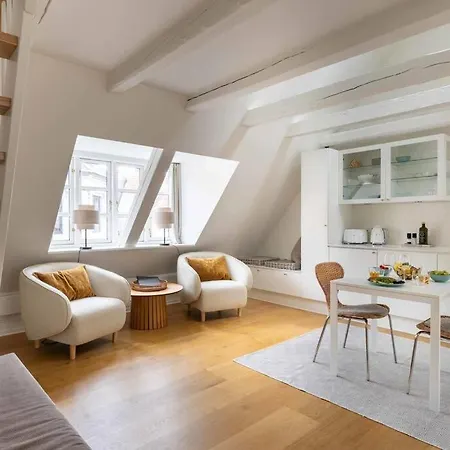 Super Cozy In Downtown Cph København