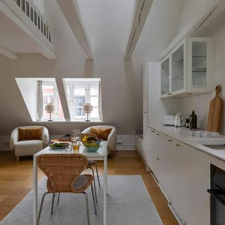 Super Cozy In Downtown Cph Apartmán